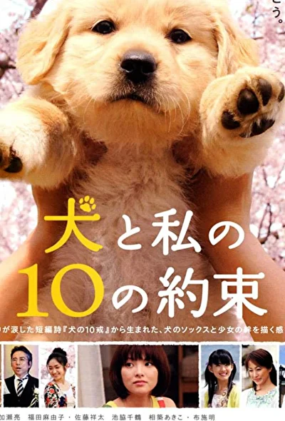 Постер к фильму 10 обещаний моей собаке (2008)