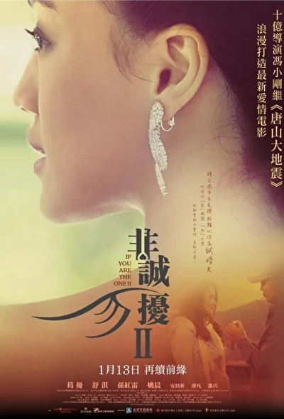Постер к Если ты единственная 2 (2010)